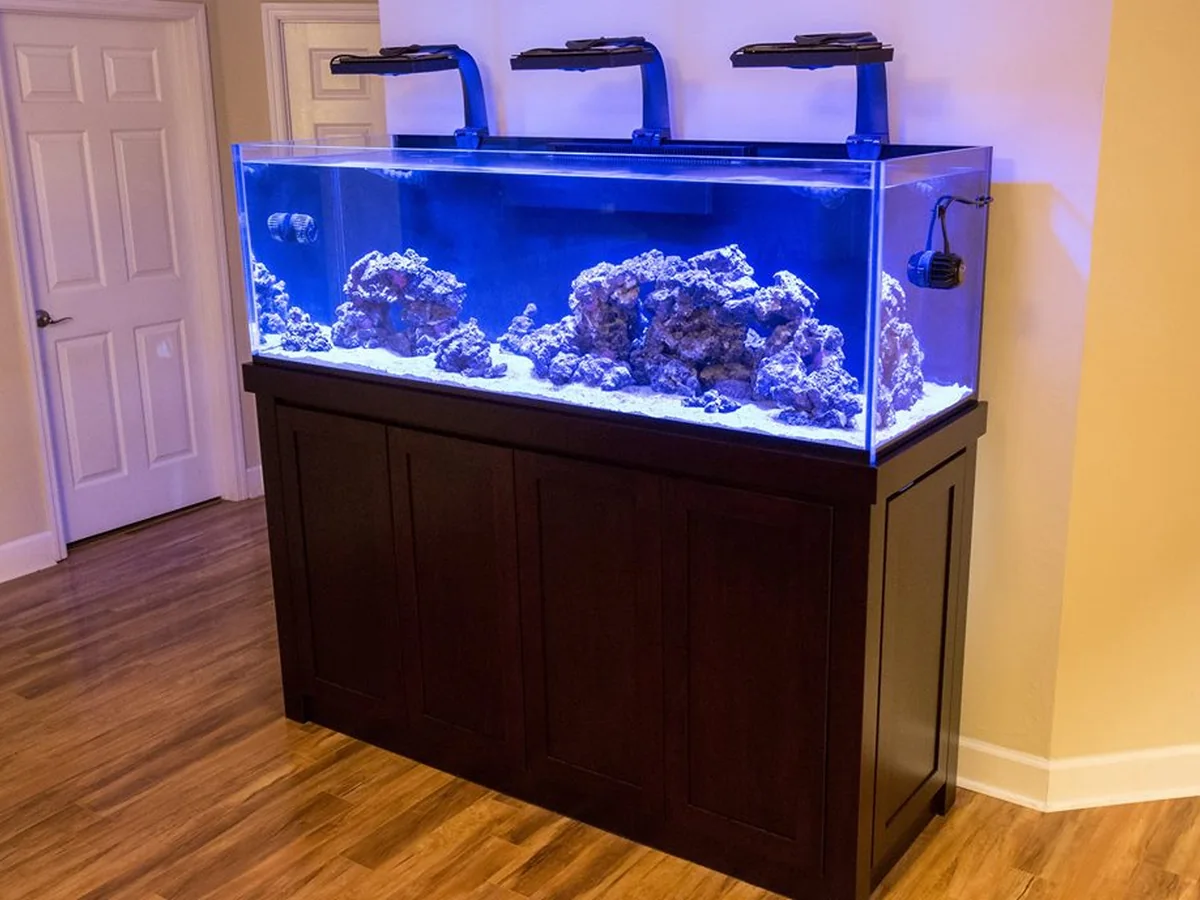 Hardwood aquarium stand beneath a lit reef tank